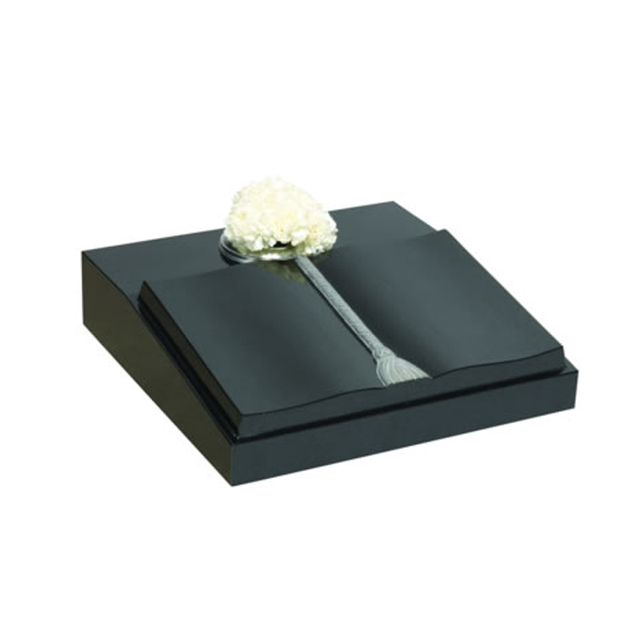 NP02